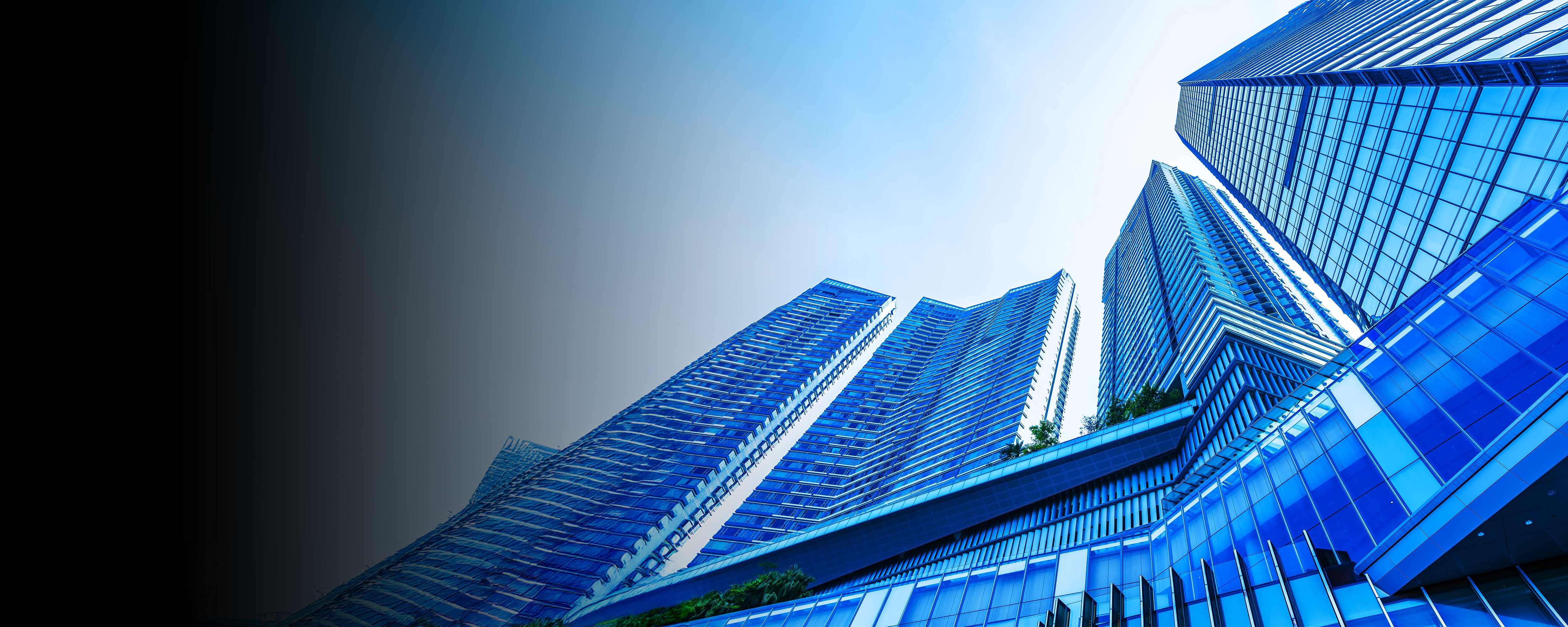 Corporate & Unlisted Company Services